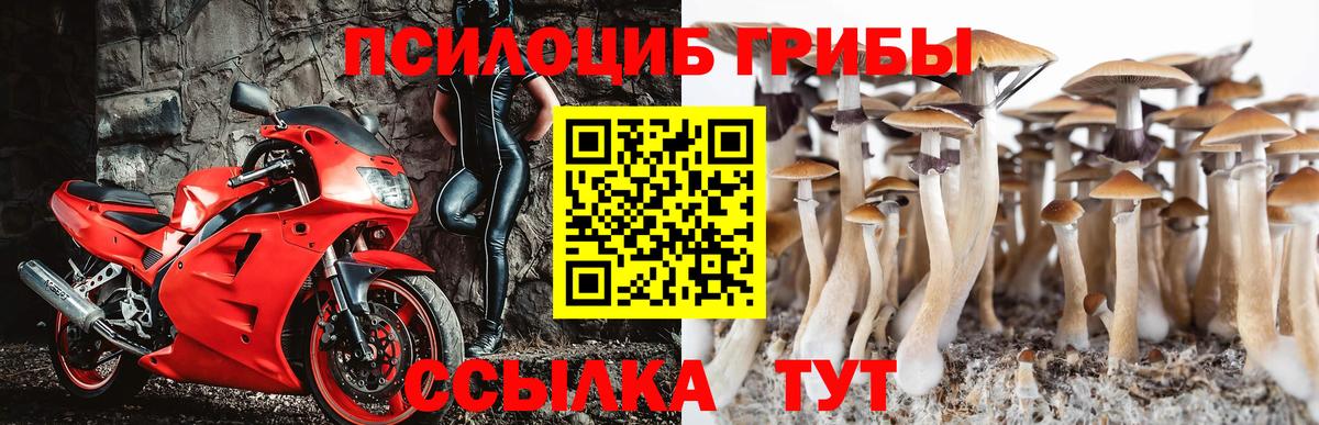 Галлюциногенные грибы мухоморы Долгопрудный