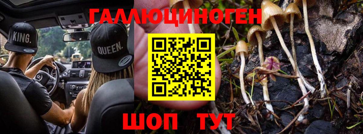 Псилоцибиновые грибы прущие грибы  Вход с VPN  Долгопрудный 